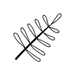 Single hand drawn twig. Vector illustration in doodle style. Isolate on a white background.