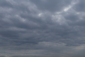 Obraz premium 青空のない濃い羊雲