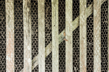 The old gate of a chicken coop made of wire mesh and wood.