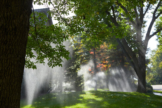 Watering the front yard with sprinklers on a beautiful September day