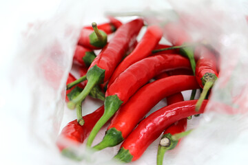 View of Red Chili Peppers isolated on white background.