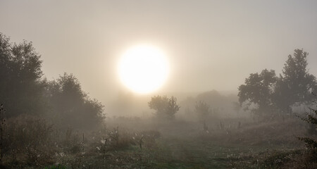 Early autumn morning with sun and fog in the steppe.