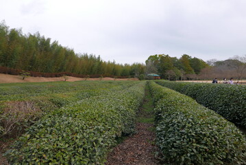 Obraz premium 後楽園