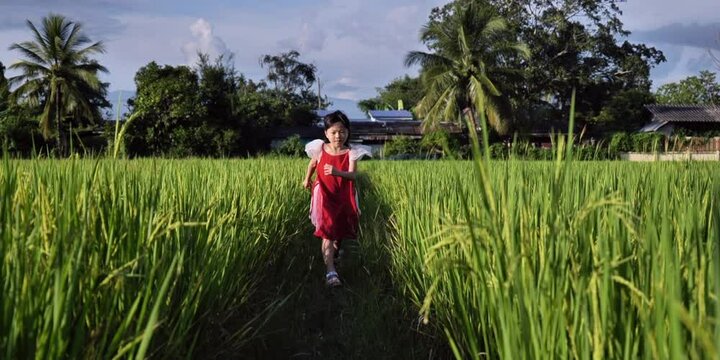 A little girl runs in the green rice field. Happy kids running dream. Dream and happy concept. 4k slow motion