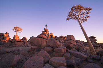 Quiver Tree Forest near Keetmanshoop, Namibia. Topography of arid regions in Africa.