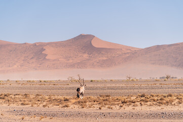 Fototapeta na wymiar Beautiful natural landscape of Namib Desert. The region with the lowest population density in the world. A popular tourist country and destination in Africa, Namibia.