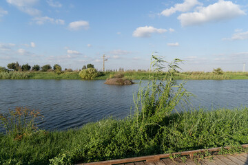 Fototapeta premium Agmon Hefer in the Hefer Valley