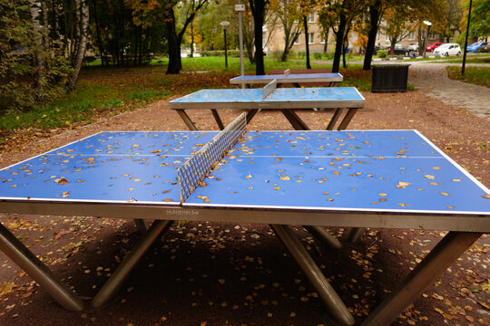 Three blue ping pong tables on the background of the autumn cityscape
