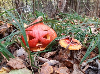 halloween jack and fly agaric