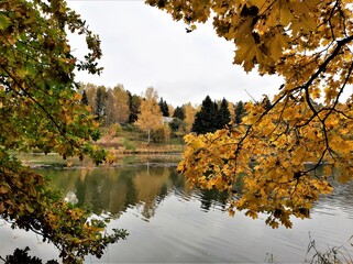 autumn in the park