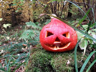 halloween jack o lantern
