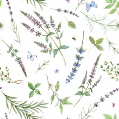 Beautiful seamless floral pattern with hand drawn watercolor gentle mint flowers and other herbs. Stock illuistration. Autotraced vector.