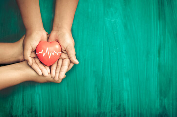 A hand holding red heart with heart wave.She is hand holding it on blue background.heart health,happy volunteer charity,The photo shows the principle of caring and good health.