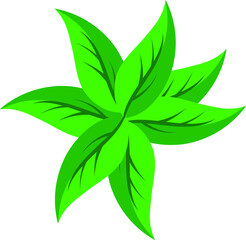 green leaf