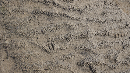 Beautiful natural coarse sand texture