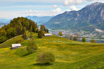 Views from blossoming Sevelerberg towards Bodensee