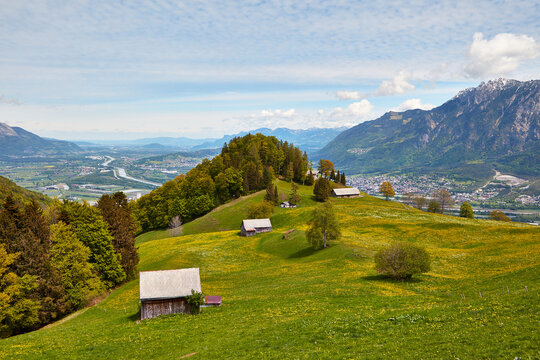 Views from blossoming Sevelerberg towards Bodensee