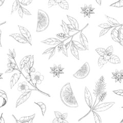 Tea leaf pattern. Seamless texture of green and black morning drink. Hand drawn engraving of branches with flowers. Anise and lemon piece sketch. Fresh foliage. Vector print template