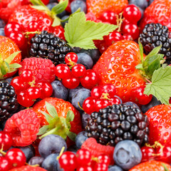 Berries fruits berry fruit strawberries strawberry blueberries blueberry square