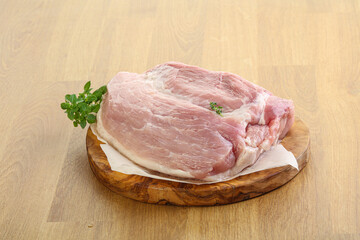 Piece of the raw pork meat