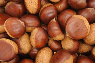 たくさんの栗