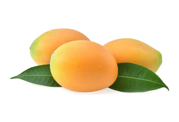 Sweet Yellow Marian plum with leaves isolated on white background.