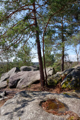 Denecourt hiking path numbuer 4 and Saint-Germain rock in Fontainebleau forest