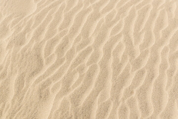 Fototapeta na wymiar The texture of the sand dunes.