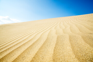 Obraz na płótnie Canvas Blue sky and sand dunes. Sunny day.