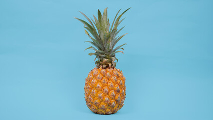 pineapple fruit isolated on a blue background