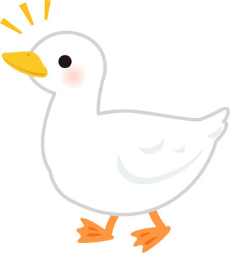 歩くアヒル