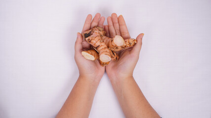 galangal in the palm of a wish isolated on a white background