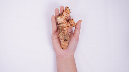 galangal in the palm of a wish isolated on a white background