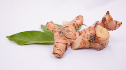 galangal and bay leaf isolated on white background