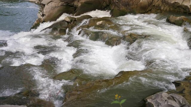 Powerful crystalline waters overcoming rocky cascade in the Carpathians 
