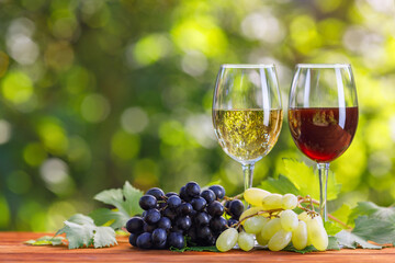 two glasses of red and white wine on table in garden