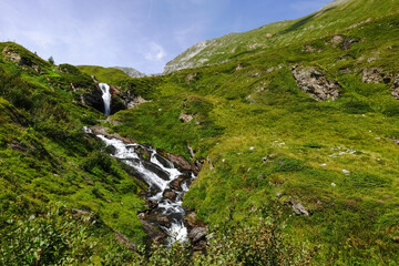 Obraz premium little waterfalls in green mountains of austria