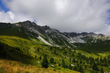 Obraz premium mountain landscape with a green valley with dense fog on the mountain top