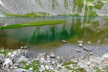 many white stones on the shore from a shallow mountain lake