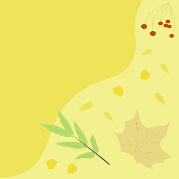 Autumn vector illustration of falling yellow leaves and mountain ash. Free space for text. Banner, poster, flyers for autumn events