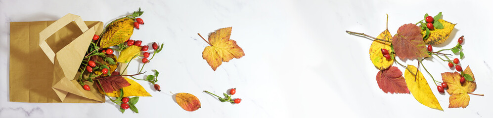 colorful autumn leaves and rose hips in a shopping paper bag on a light marble background, wide...