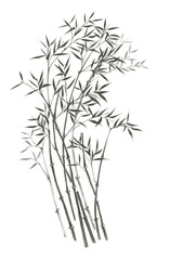 Digital illustration of bamboo, black and white.
