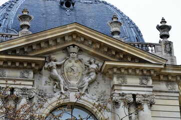 The very famous Petit Palais Museum in Paris