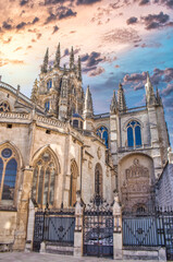Fototapeta na wymiar Reja y puerta de la pellejería en la catedral gótica de Burgos, España