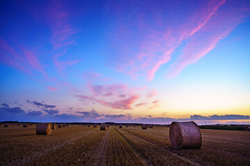 Paysage campagne 1021