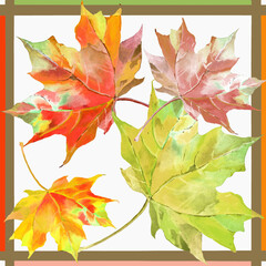 Scarf design with autumn maple leaves watercolor on white background.