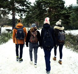Group of friends walking in the snow