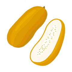 赤毛瓜（モーウイ）のイラスト