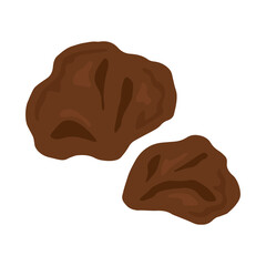 生きくらげ（木耳）のイラスト