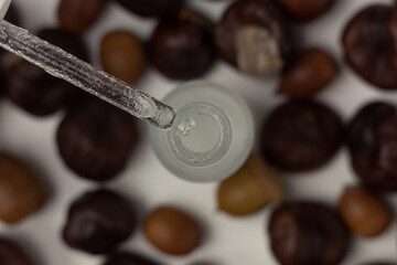 Concept of autumn skincare. Top down view of a serum bottle and chestnuts. 